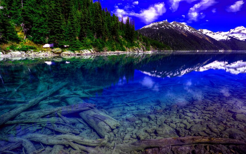 Clear Lake with Submerged Logs — Blue