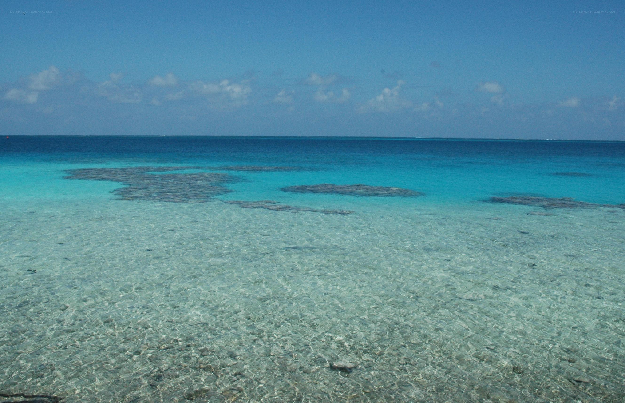 Clear ocean waters with coral reefs