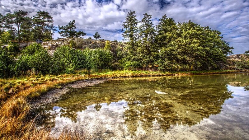 Clear Pond in Forest — Green