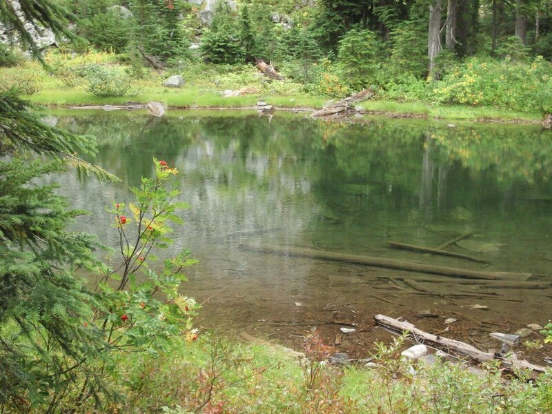 Clear Pond in Forest