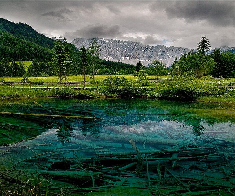 Clear Pond with Logs