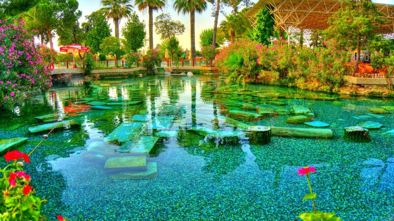 Clear Pond with Stepping Stones