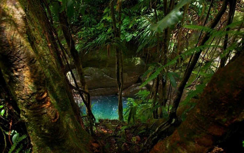 Clear Pool in Jungle