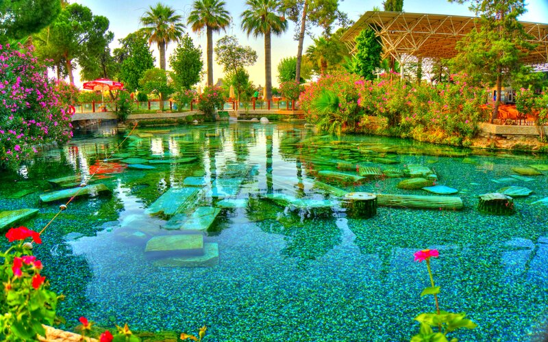 Clear Pool with Stepping Stones