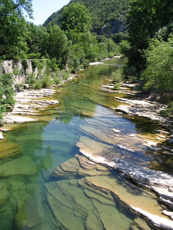 Clear river flowing through a forested valley