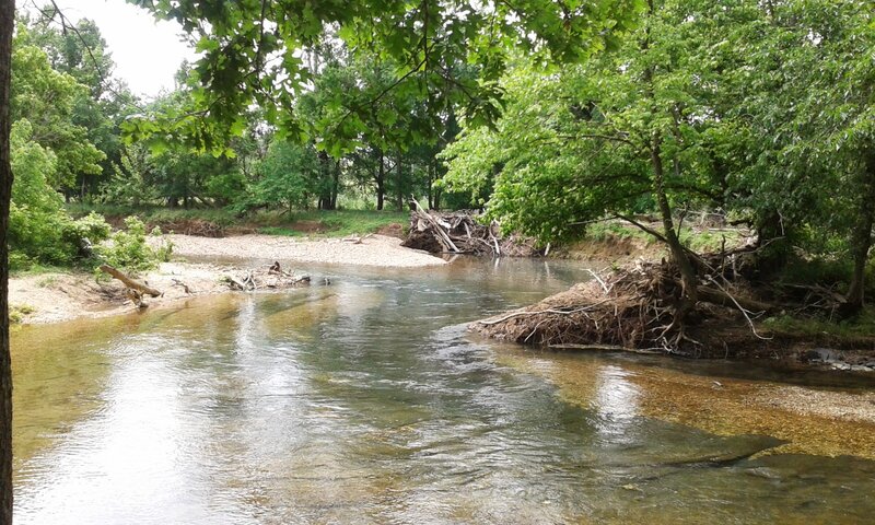 Clear River Flowing Through Woods