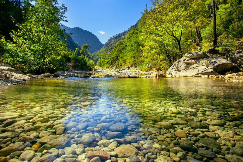 Clear River in Canyon — Green, Serene, Afternoon