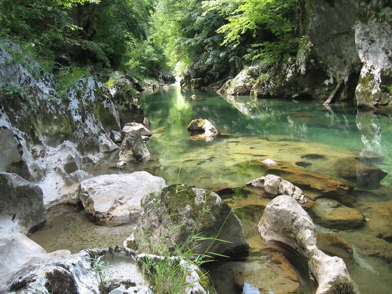 Clear River in Canyon — Green, Serene