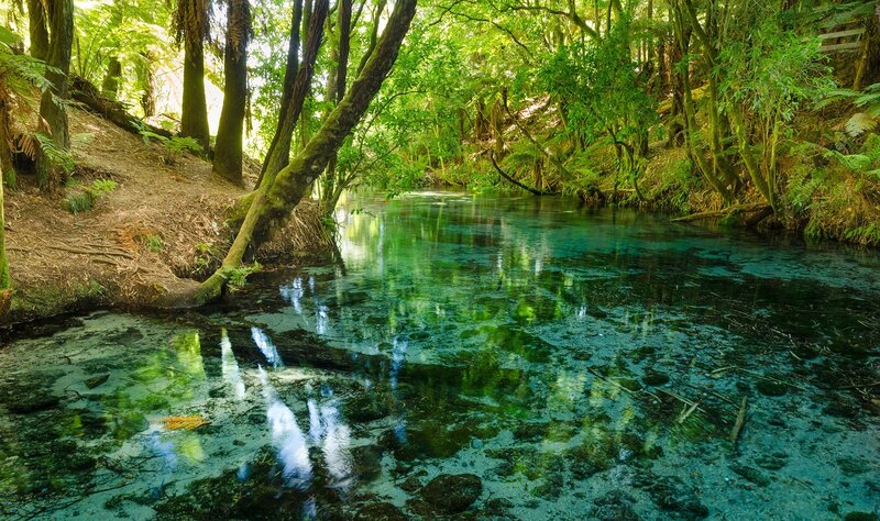 Clear river in forest