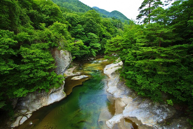 Clear River in Forest — Green, Serene, Summer
