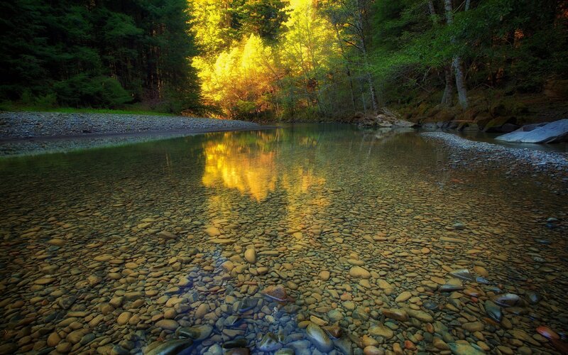 Clear River in Forest — Green, Serene, Sunset