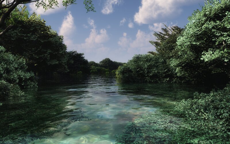 Clear River in Forest — Green, Serene
