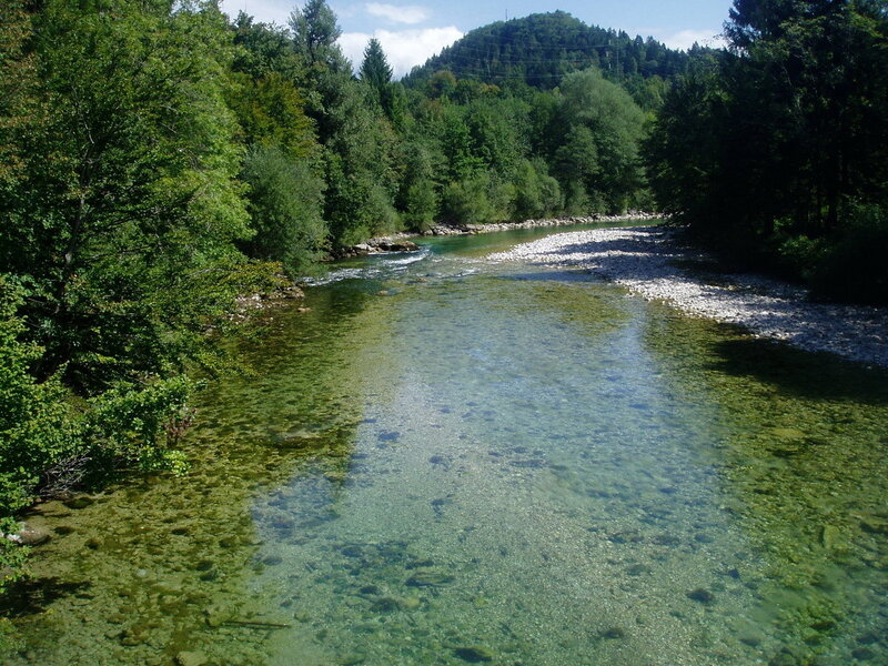 Clear River in Forest — Green