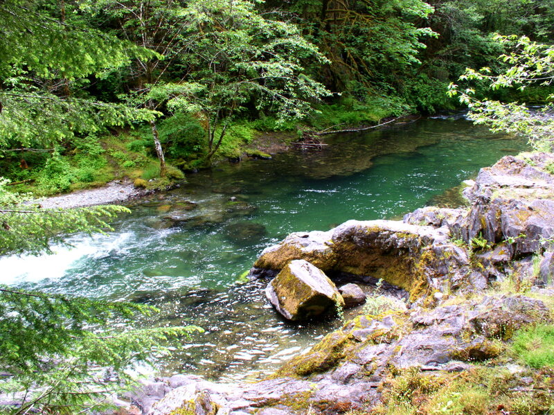 Clear river in forested area
