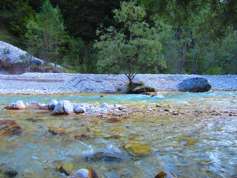 Clear river in forested valley