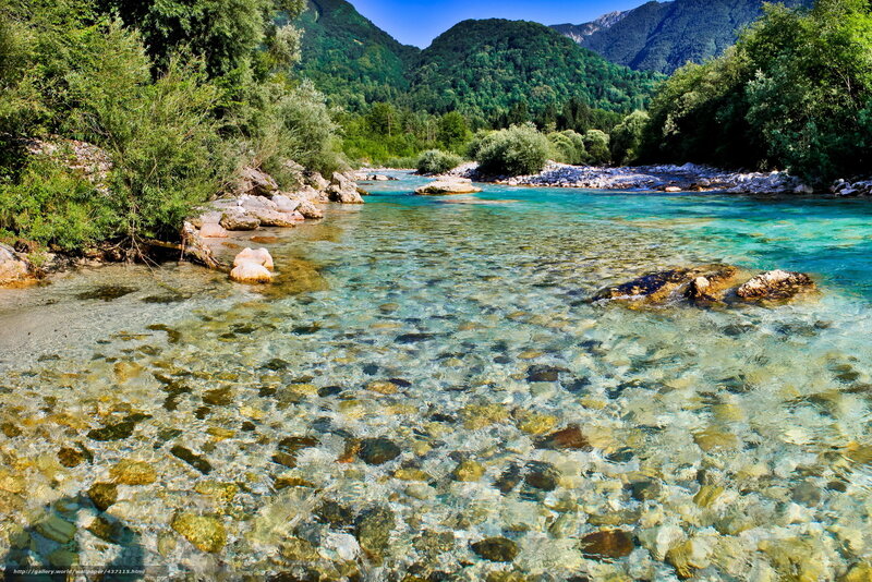 Clear river in mountain valley