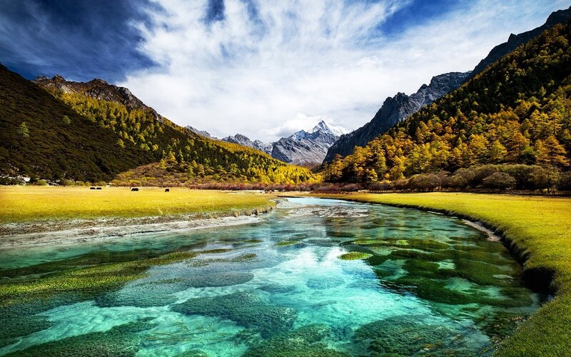Clear River in Valley — Blue
