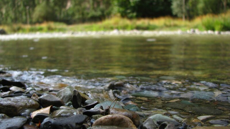 Clear River Water — Green, Calm