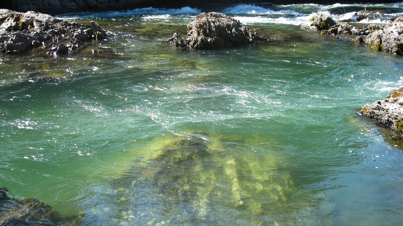 Clear River Water — Green