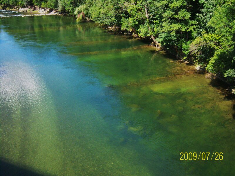 Clear river with green water