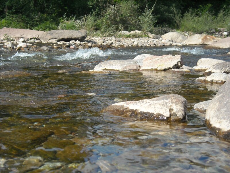 Clear River with Rocks — Green