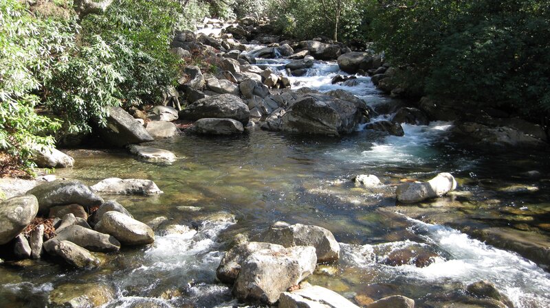 Clear stream flowing over rocks