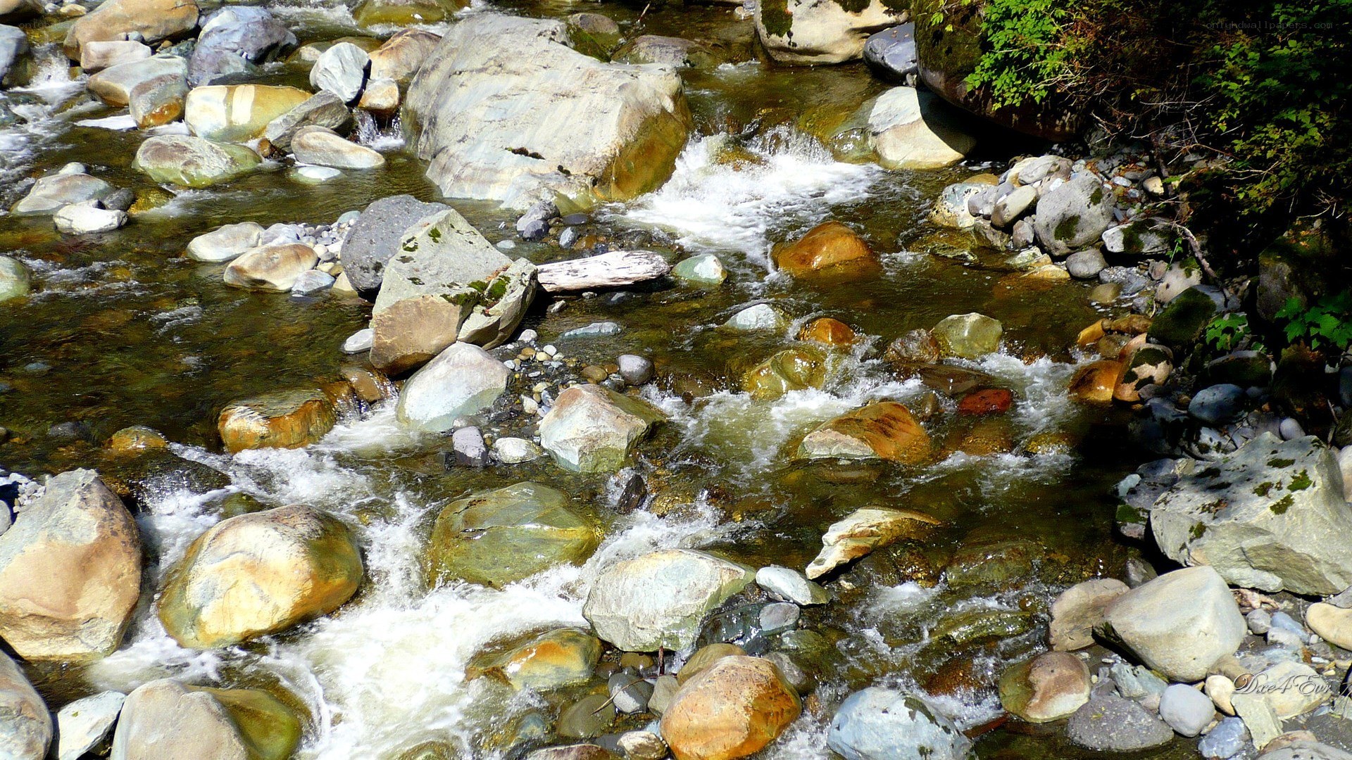 Clear stream flowing over rocks