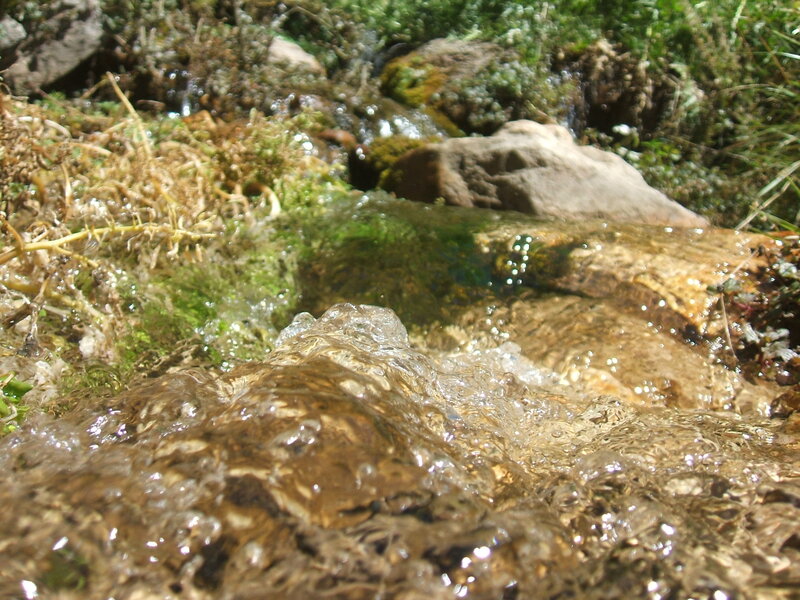 Clear stream flowing over rocks