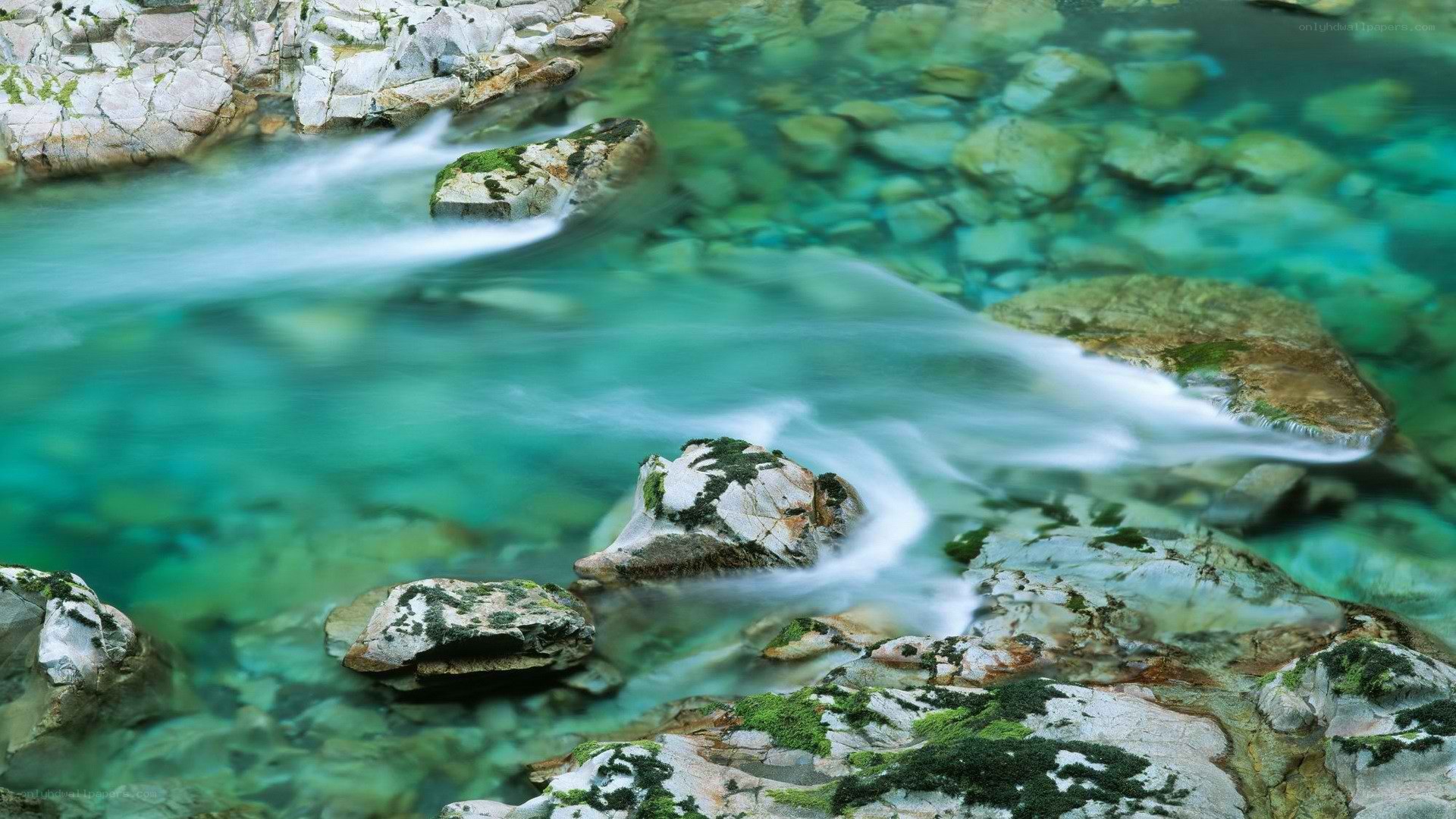 Clear stream flowing over rocks