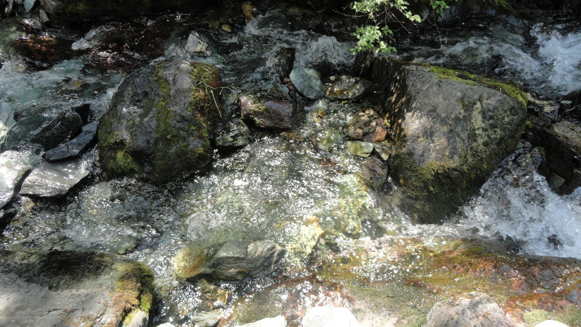 clear stream flowing over rocks