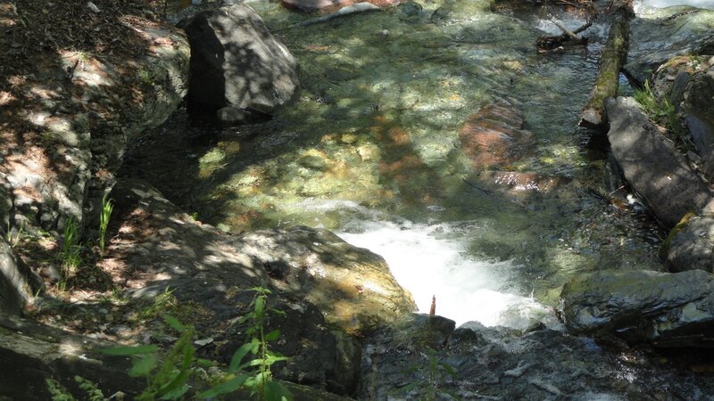 Clear Stream Flowing over Rocks — Green, Serene, Afternoon