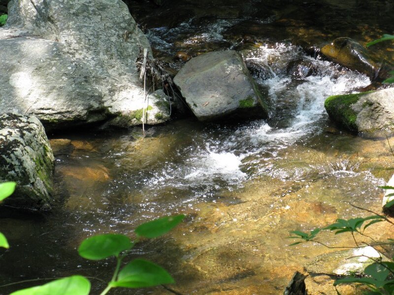 Clear Stream Flowing over Rocks — Green