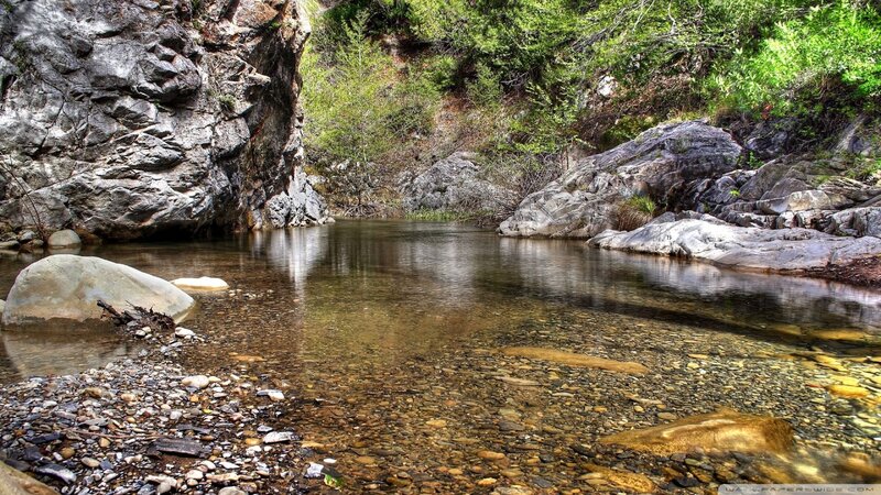 Clear Stream in Canyon — Green, Serene