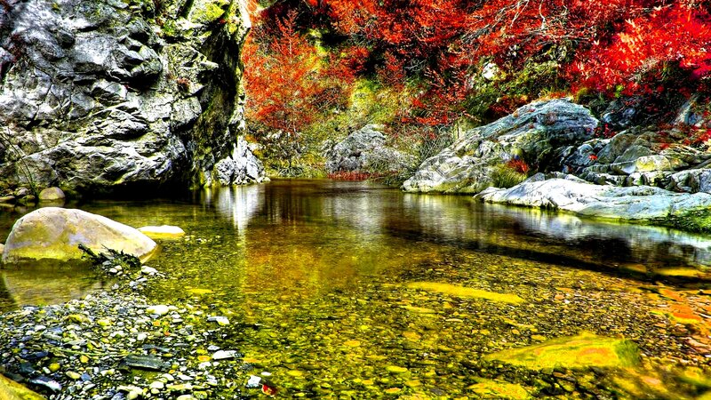 Clear Stream in Canyon — Red