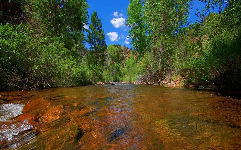Clear stream in forest canyon