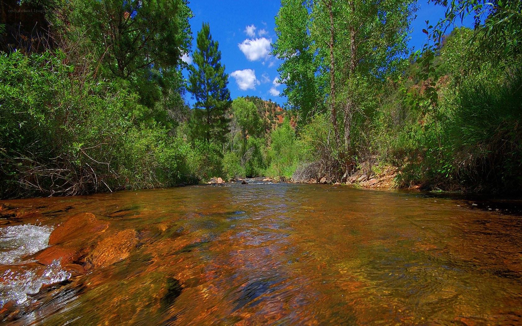 Clear stream in forest canyon