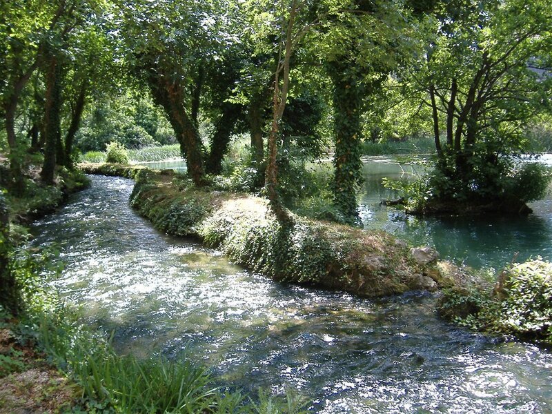 Clear Stream in Forest — Green, Serene, Afternoon, Photograph