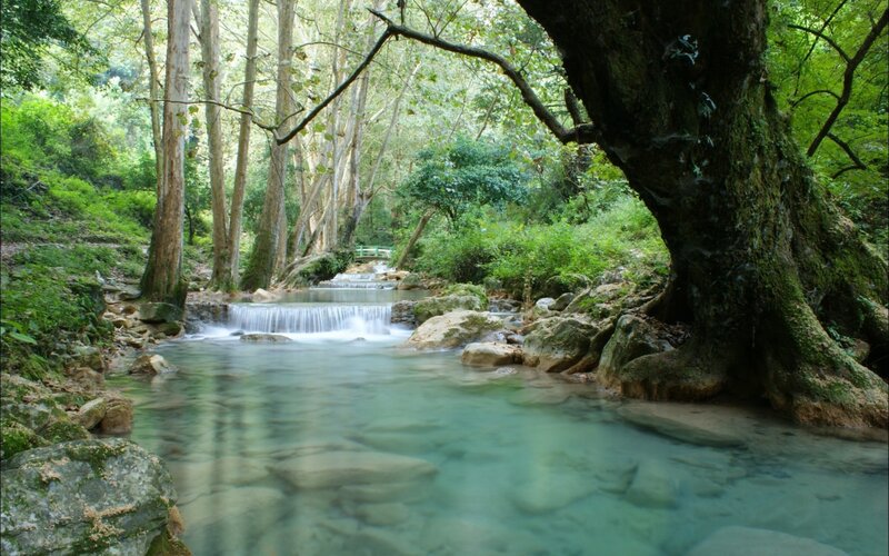 Clear Stream in Forest — Green, Serene, Afternoon, Photograph, Trees, Rocks, Waterfall, Blue
