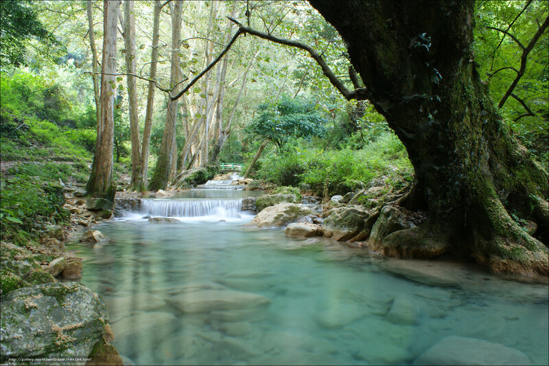 Clear Stream in Forest — Green, Serene, Afternoon, Photograph, Trees, Rocks, Waterfall