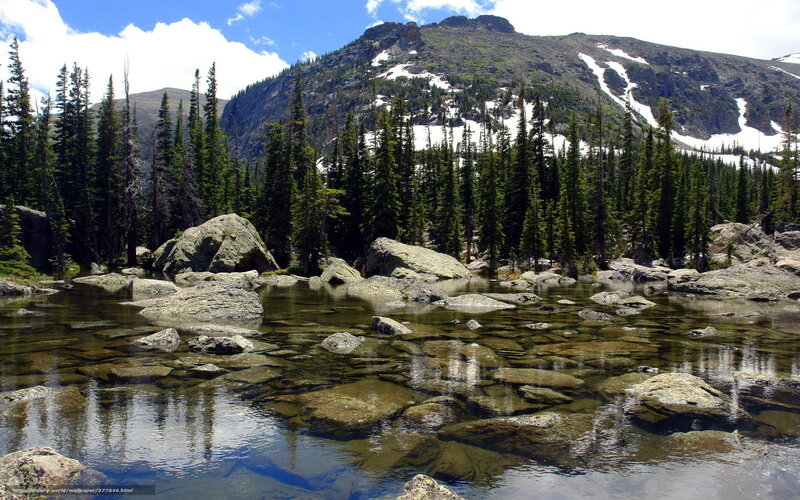 Clear Stream in Forest — Green, Serene, Summer