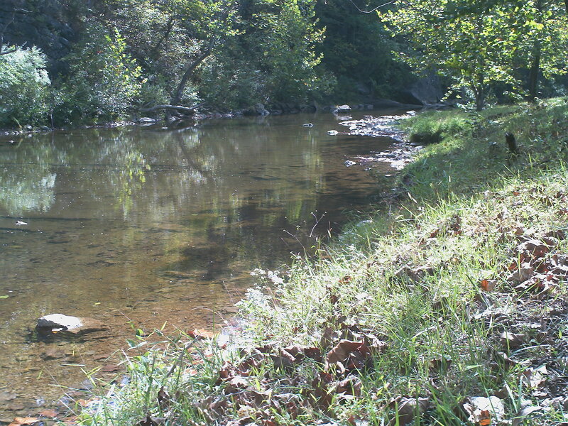 Clear Stream in Forest — Green