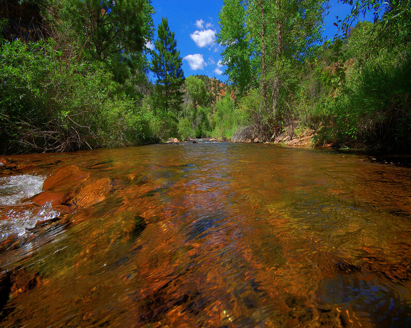 Clear stream in forested canyon