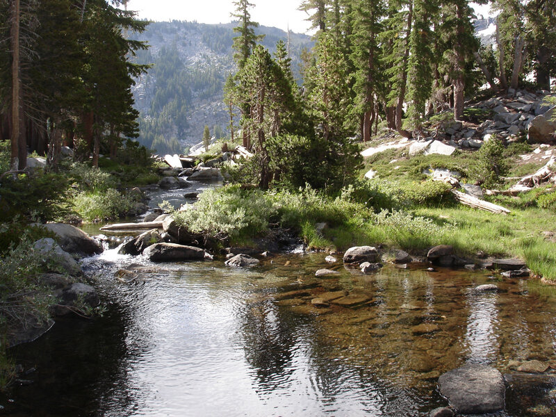 Clear stream in forested mountains