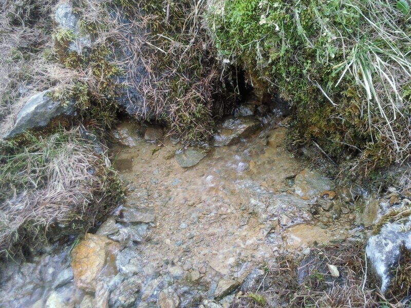 Clear Stream in Mossy Area