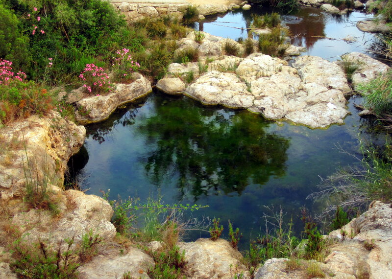 Clear Stream in Rocks — Green