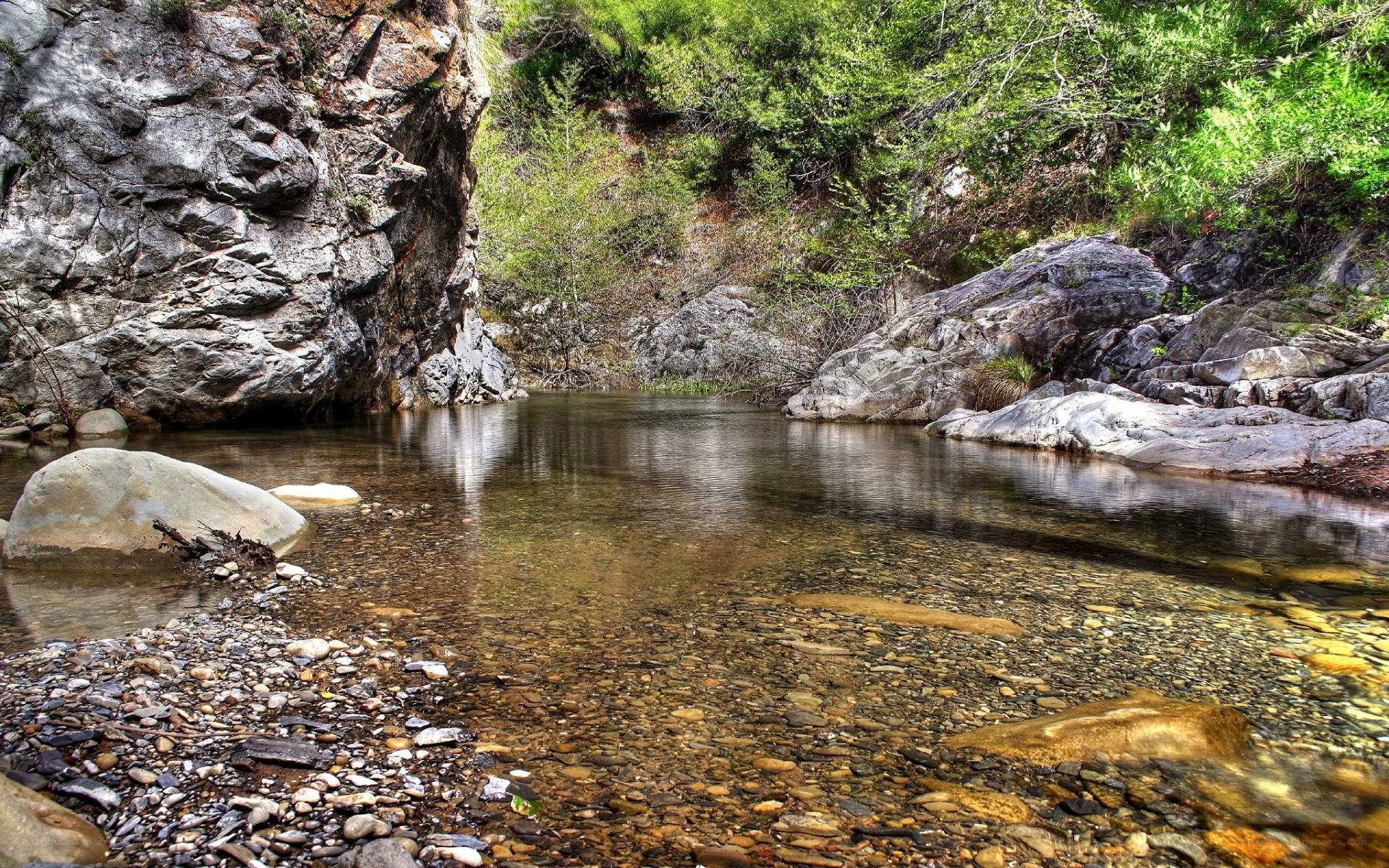 Clear stream in rocky canyon