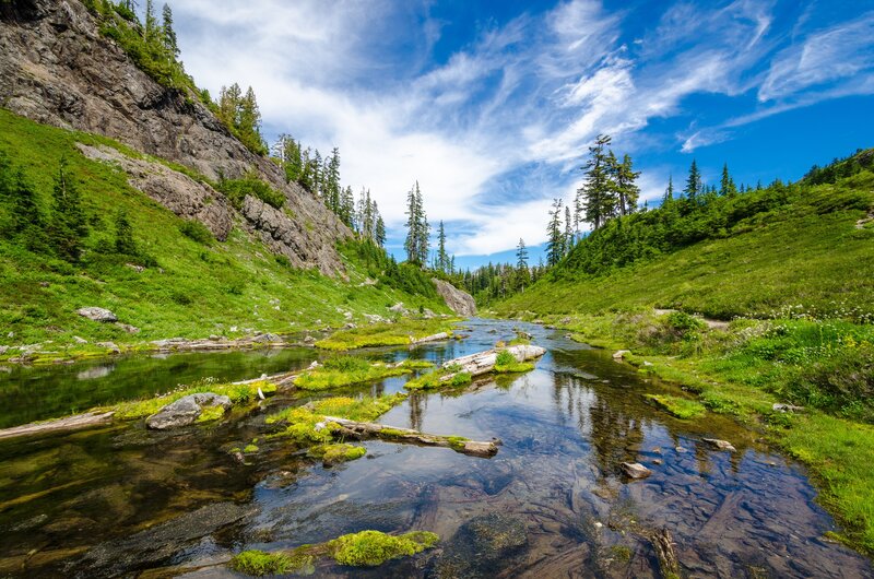 Clear Stream in Valley