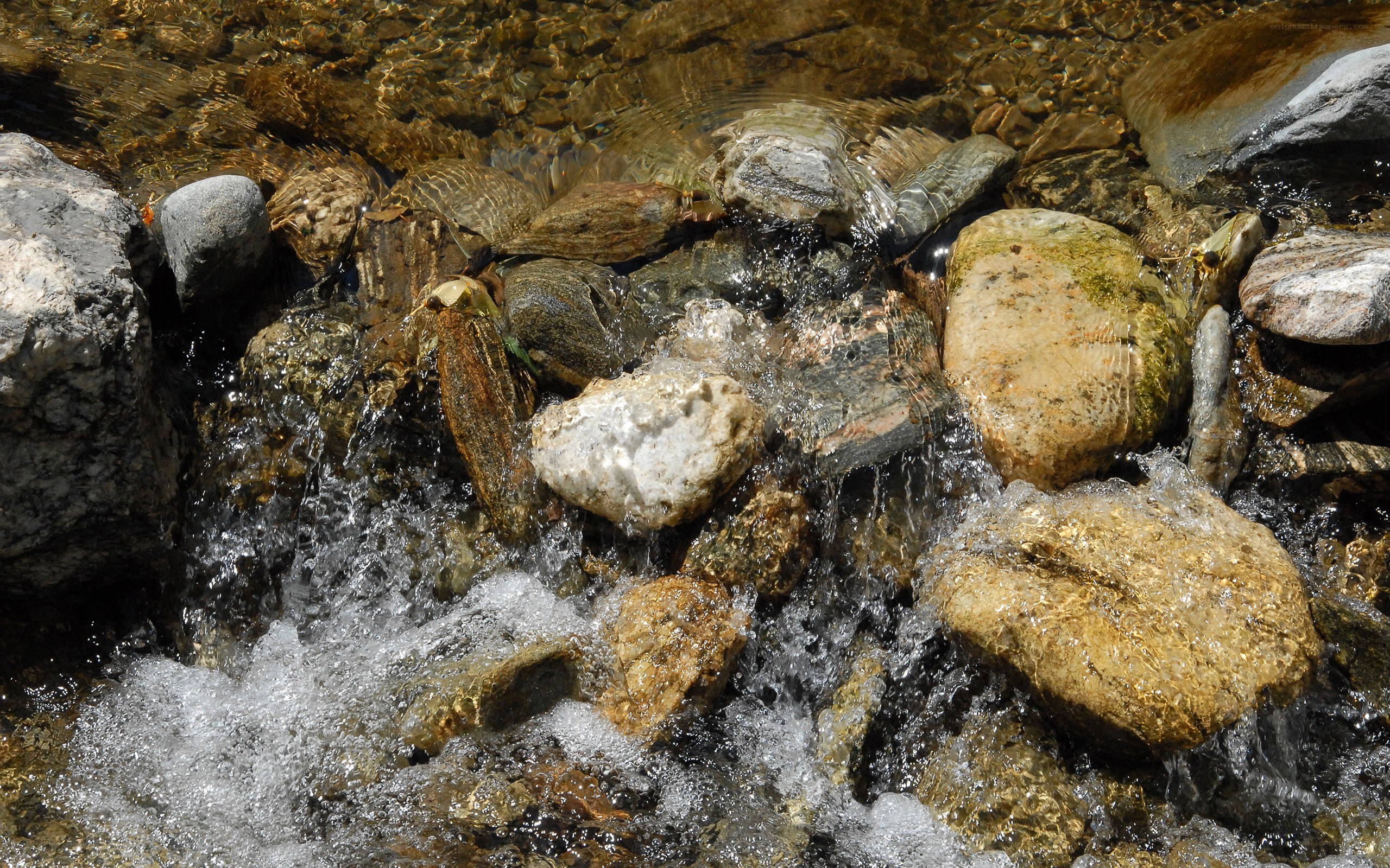 Clear stream over rocks