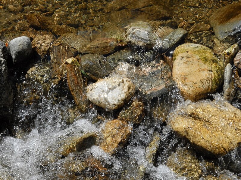 Clear stream over rocks