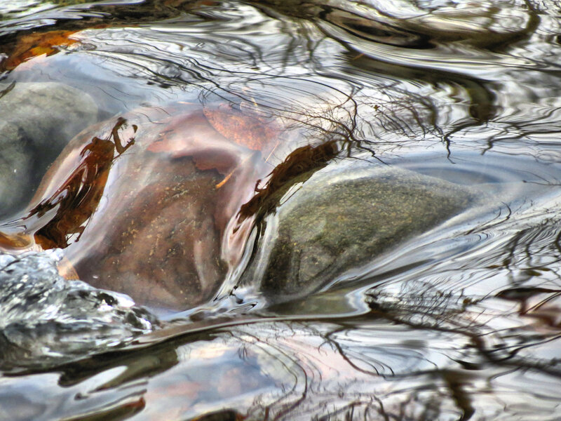 Clear Stream Water — Brown, Calm